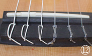 iČ菇12