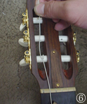iČ菇6