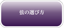̑Iѕ